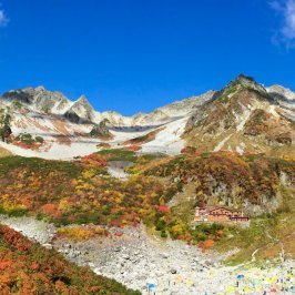 11月休業日のお知らせ。