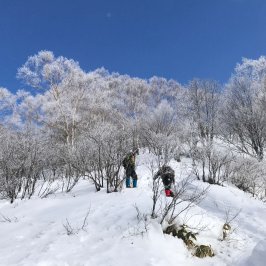 3月休業日のお知らせ。