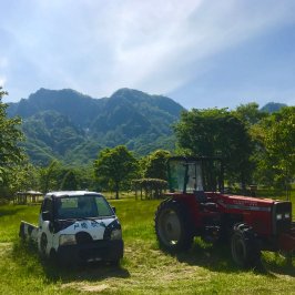 7月24日水曜日臨時休業のお知らせ。