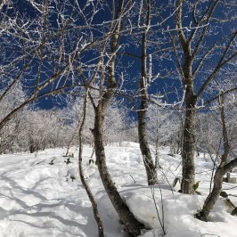 2月休業日のお知らせ。