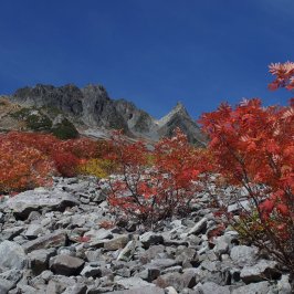 11月休業日のお知らせ。