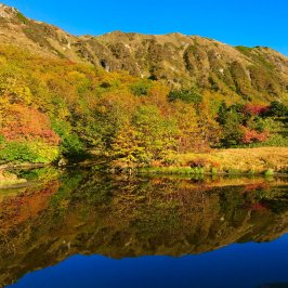 10月休業日のお知らせ。